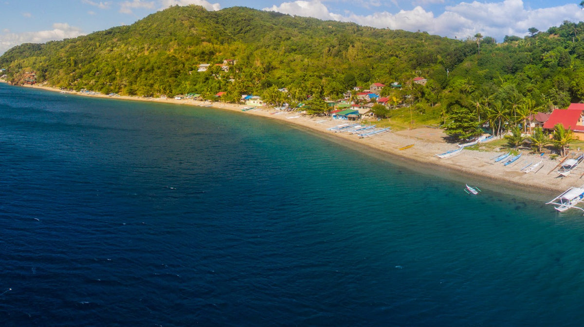 Anilao shoreline with small boats beside forested coastal hills