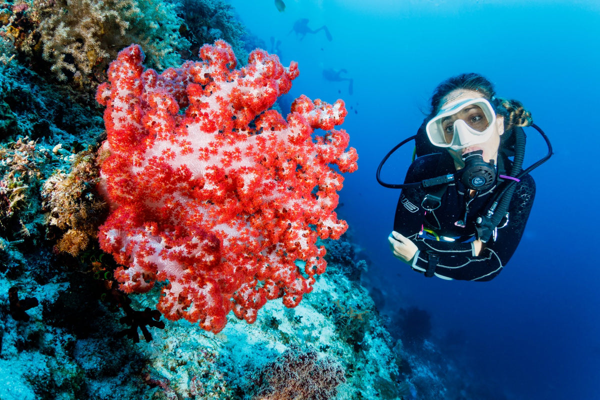 Bohol, Panglao & Balicasag