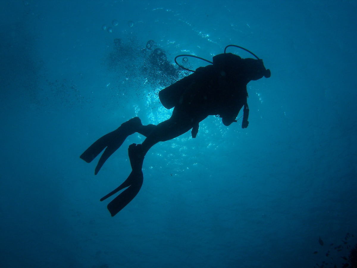 Silhouette of a scuba diver near Apo Island, Philippines