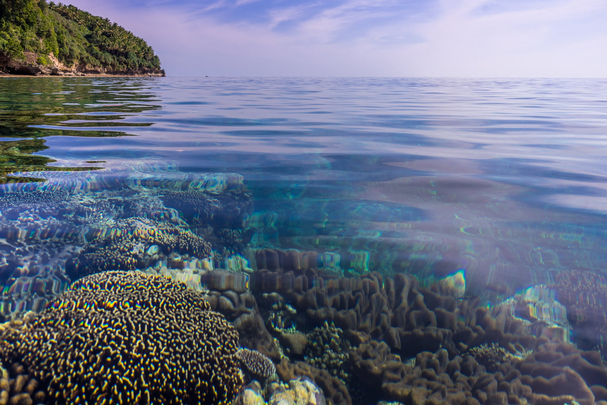 Split-level view of shallow corals and the coast of Banda Besar, Banda Islands, Indonesia