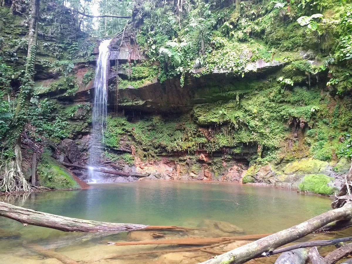 Pantu waterfall in Lambir Hills National Park near Miri