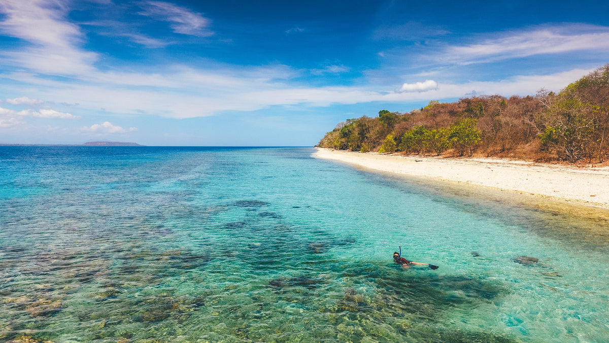 Aerial view of a snorkeler beside a white-sand beach on Moyo Island, Indonesia