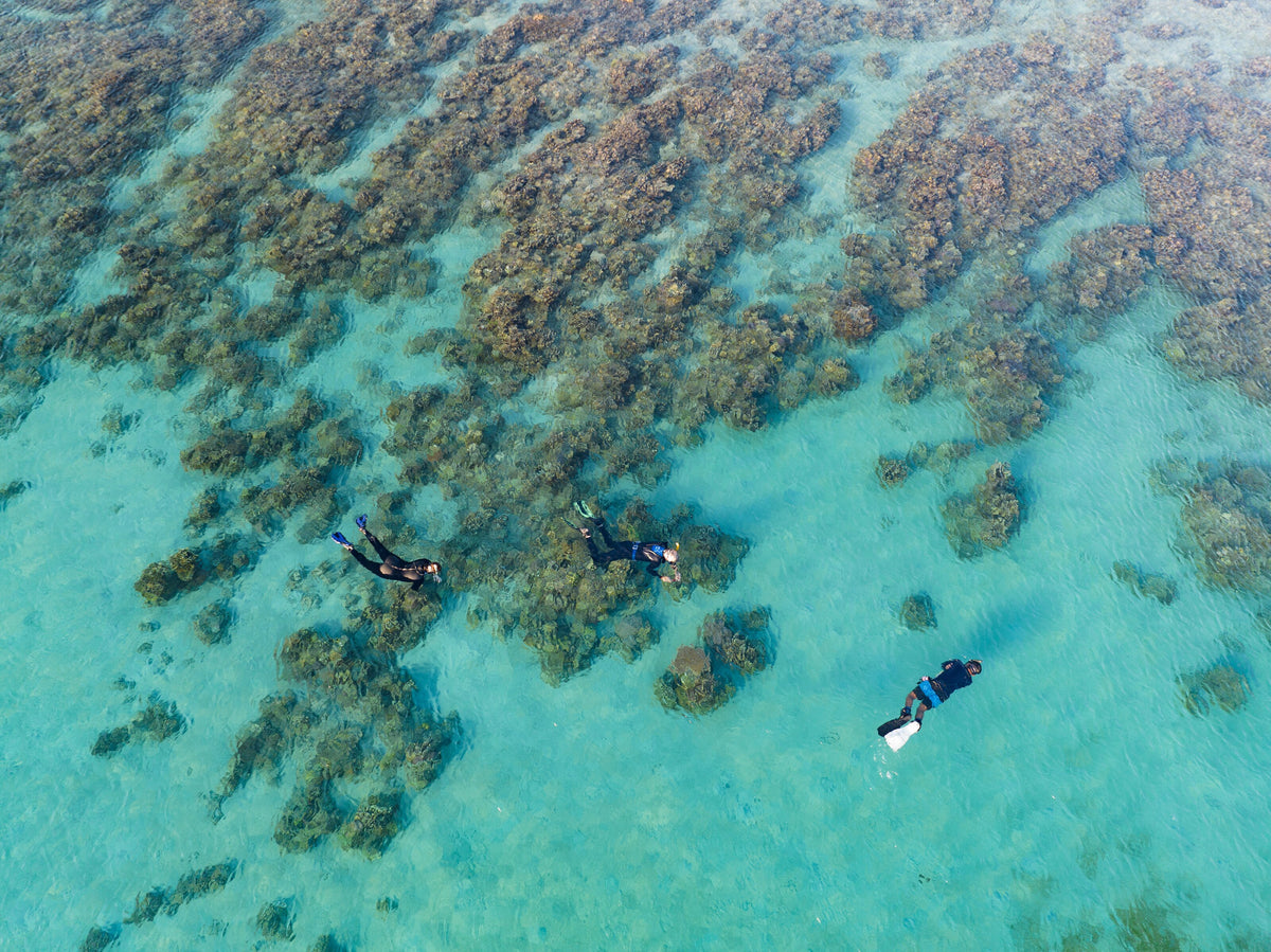 Aerial view of snorkelers above a shallow coral reef off Moyo Island, Indonesia