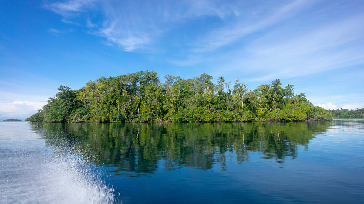 Forested island reflected in calm water near Munda, Solomon Islands
