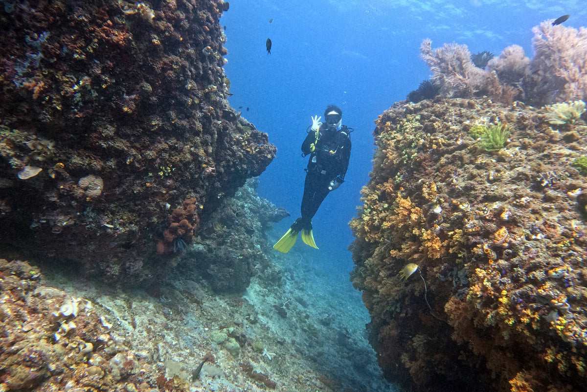 Diver between coral-covered reef formations in Bacuit Bay
