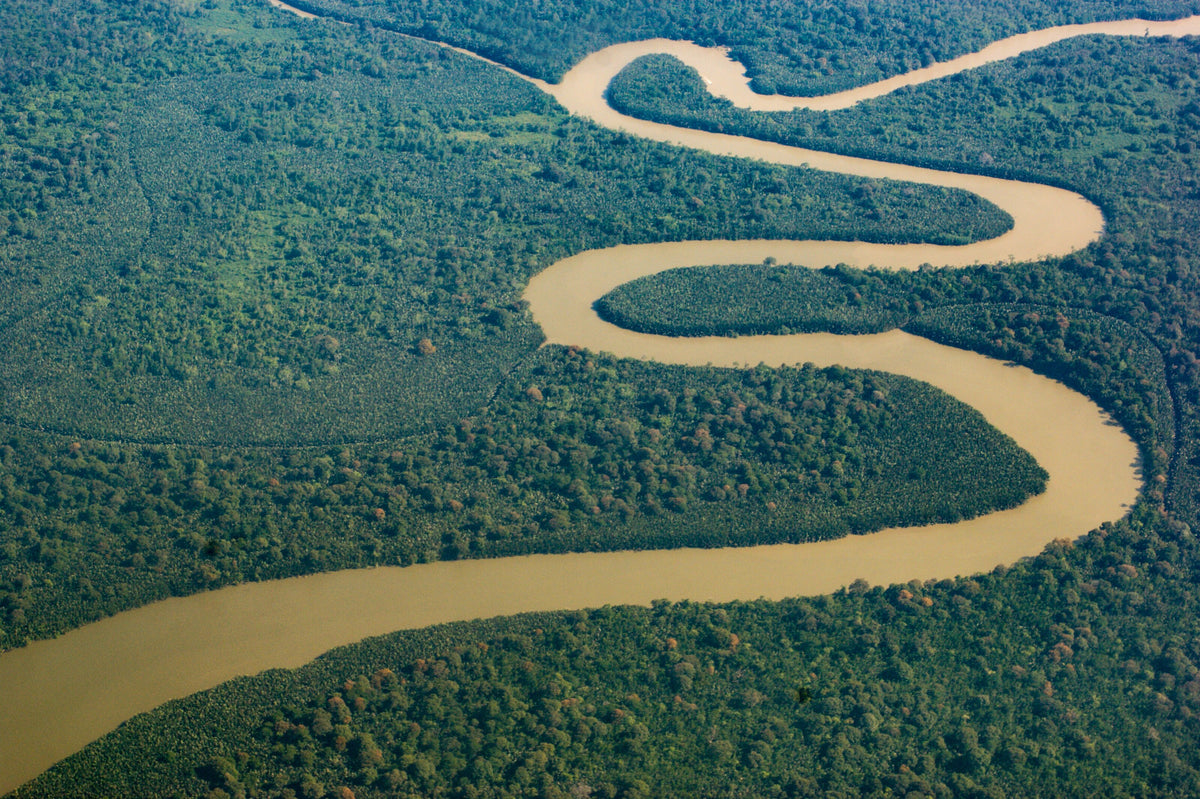 Aerial view of a winding river and rainforest between Bario and Miri in Sarawak, Borneo