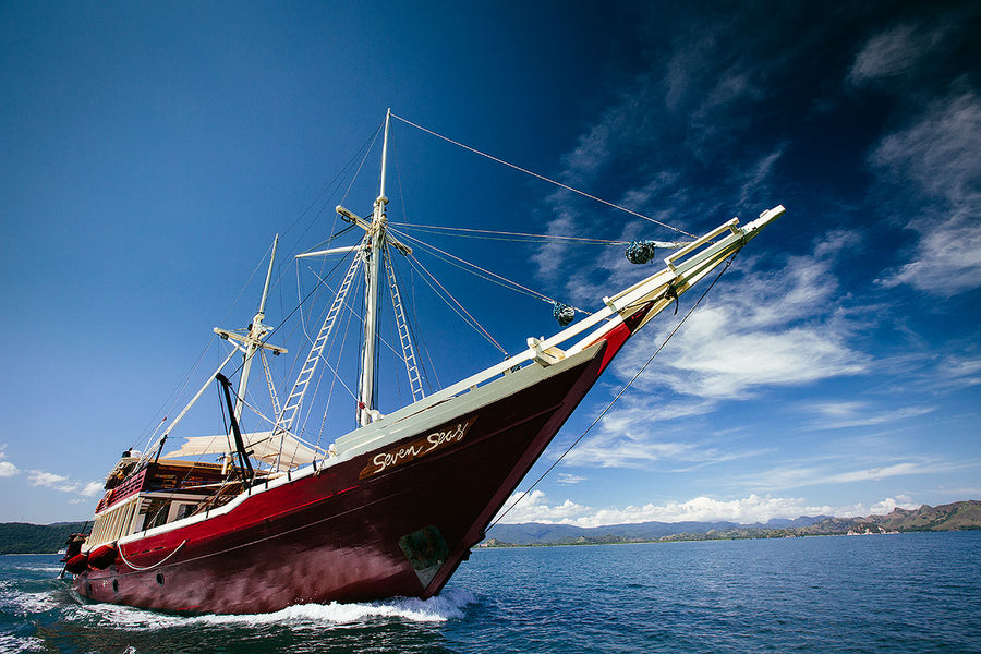 The Seven Seas