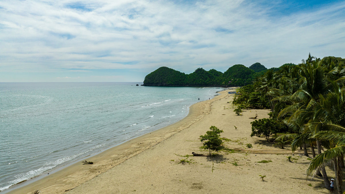 Aerial view of Sugar Beach and coconut palms in Sipalay, Negros, Philippines