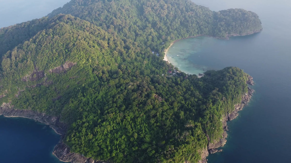 Forested headlands and bays of Tenggol Island seen from above