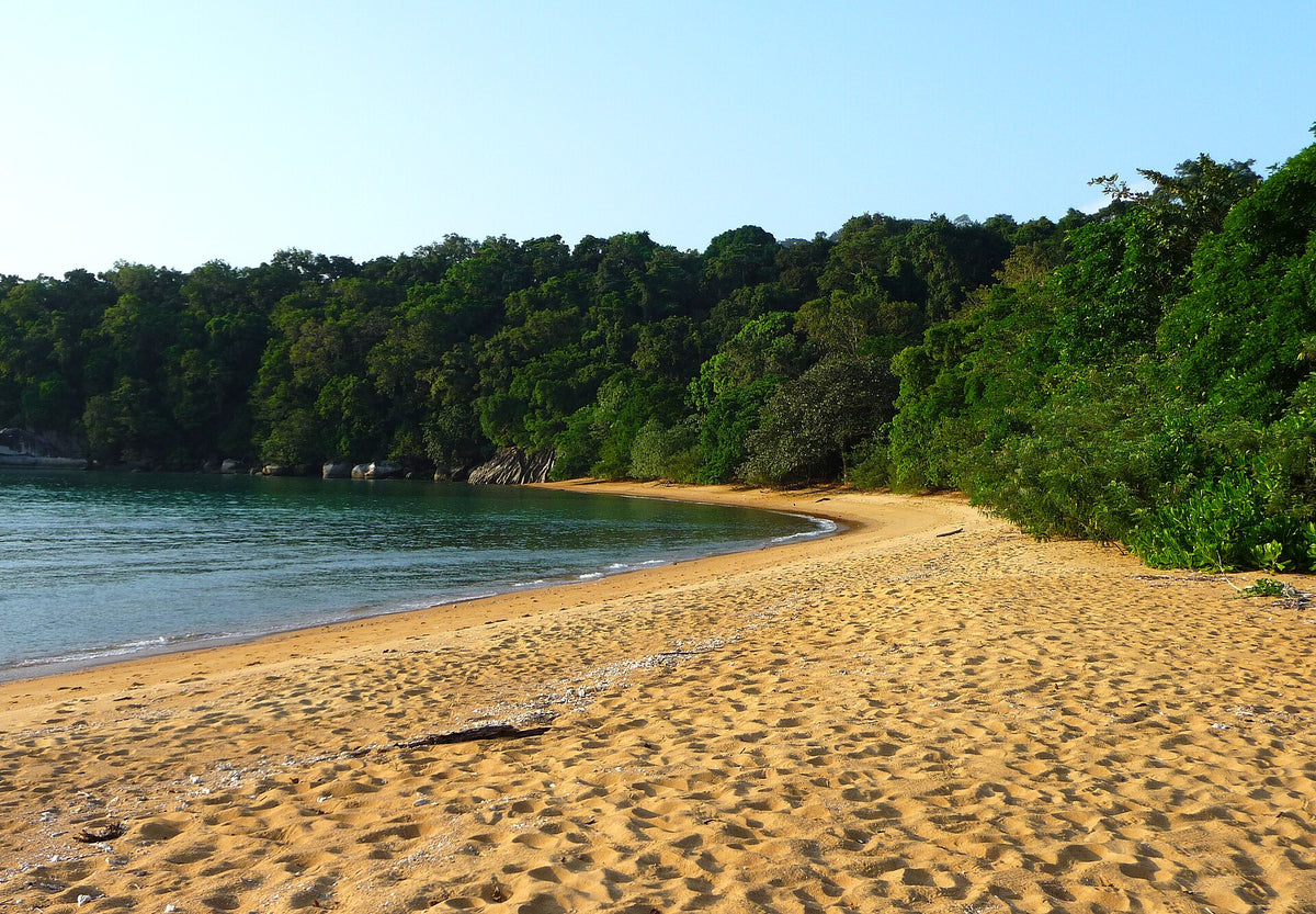 Golden sand and forest at Monkey Beach, Tioman Island