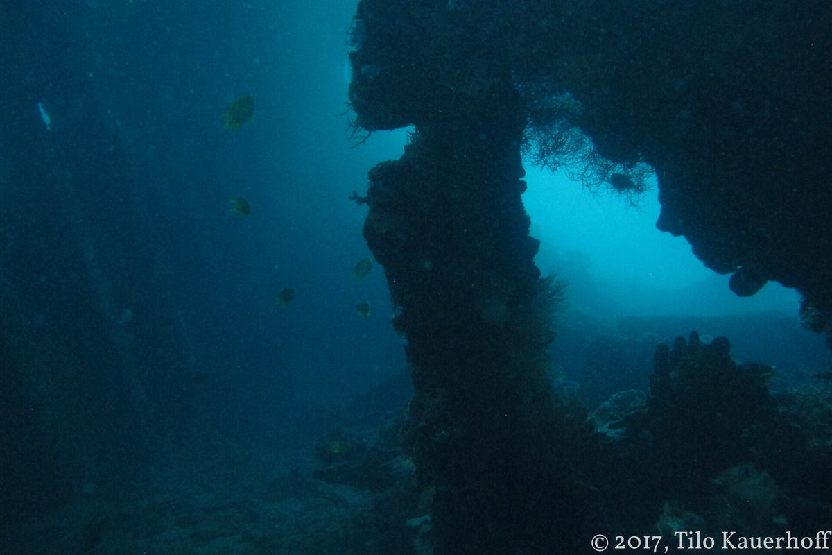 View through the open cargo compartment of the USAT Liberty wreck