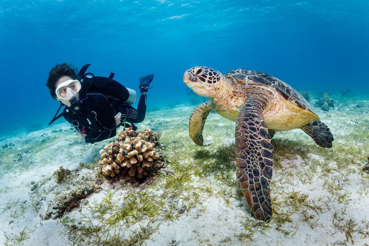 Bohol, Panglao & Balicasag
