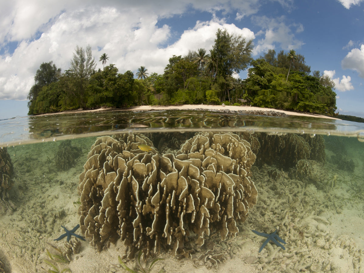 Kavieng