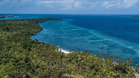 Wakatobi