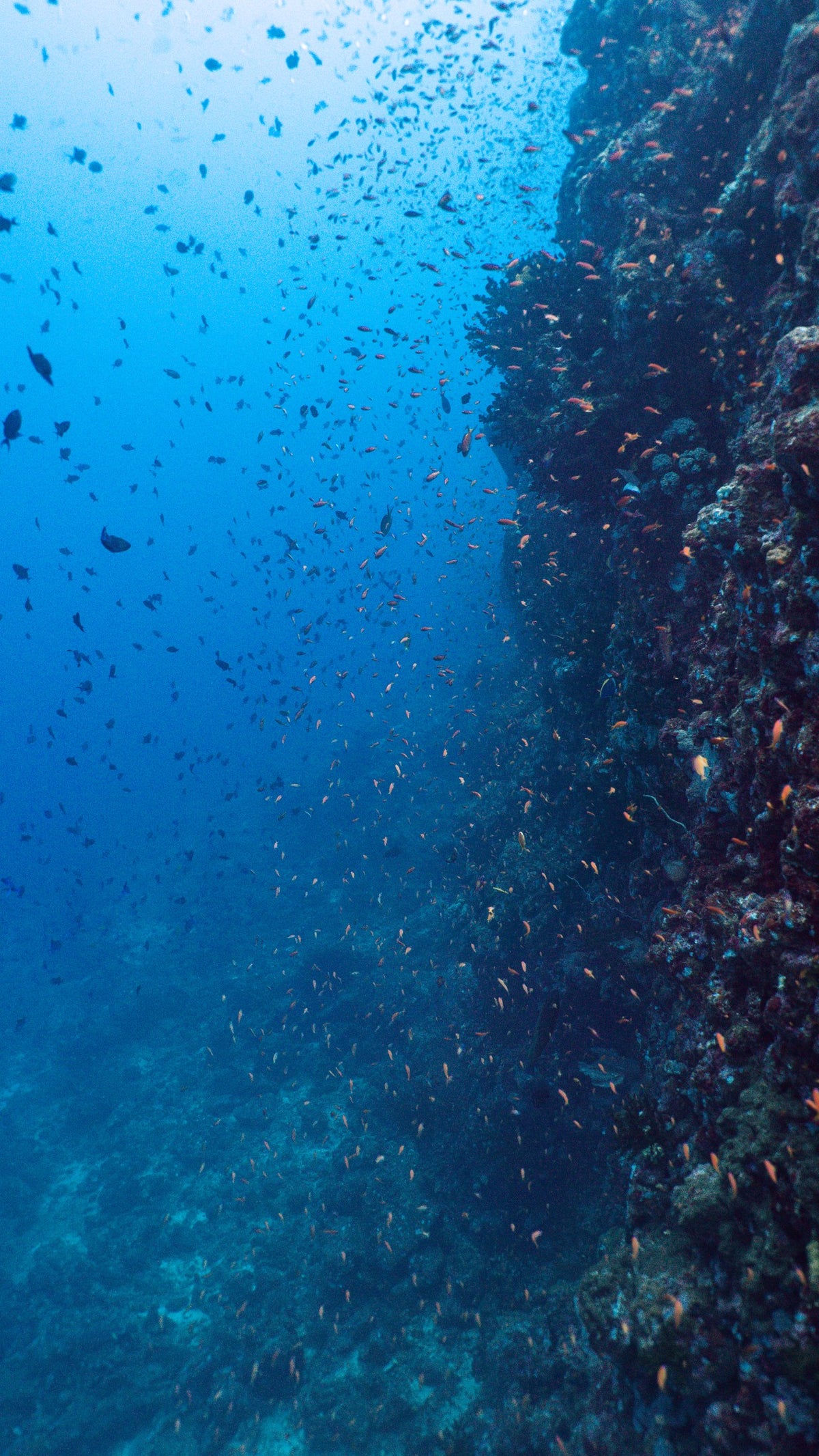 Pulau Weh & Banda Aceh