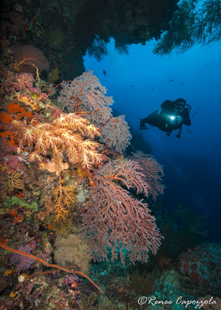 Kavieng