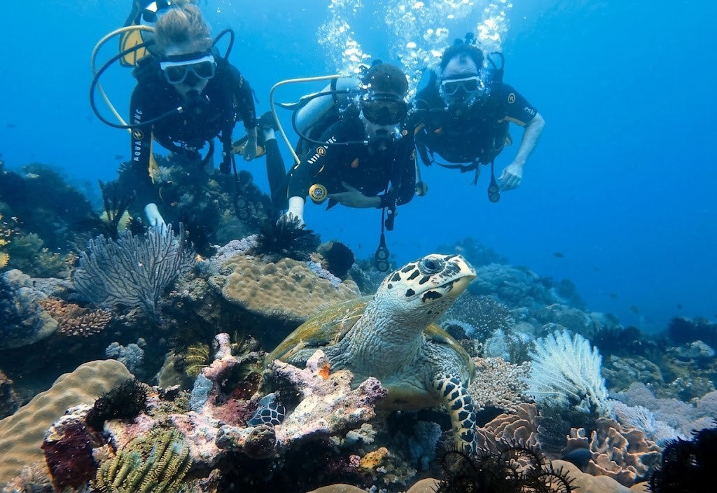Puerto Galera & Verde Island Passage