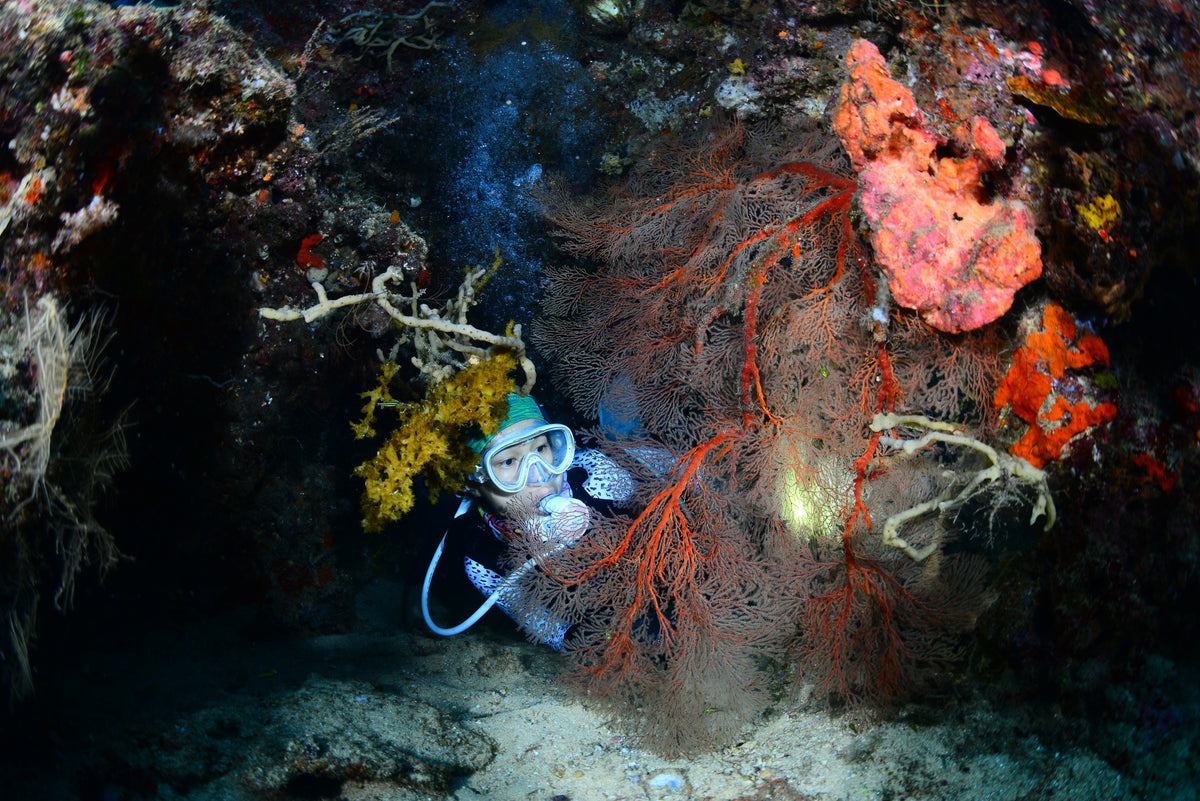 Kavieng
