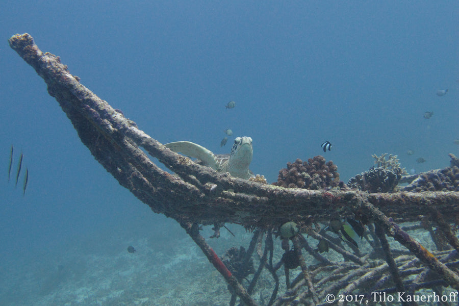 Gili Islands & Lombok