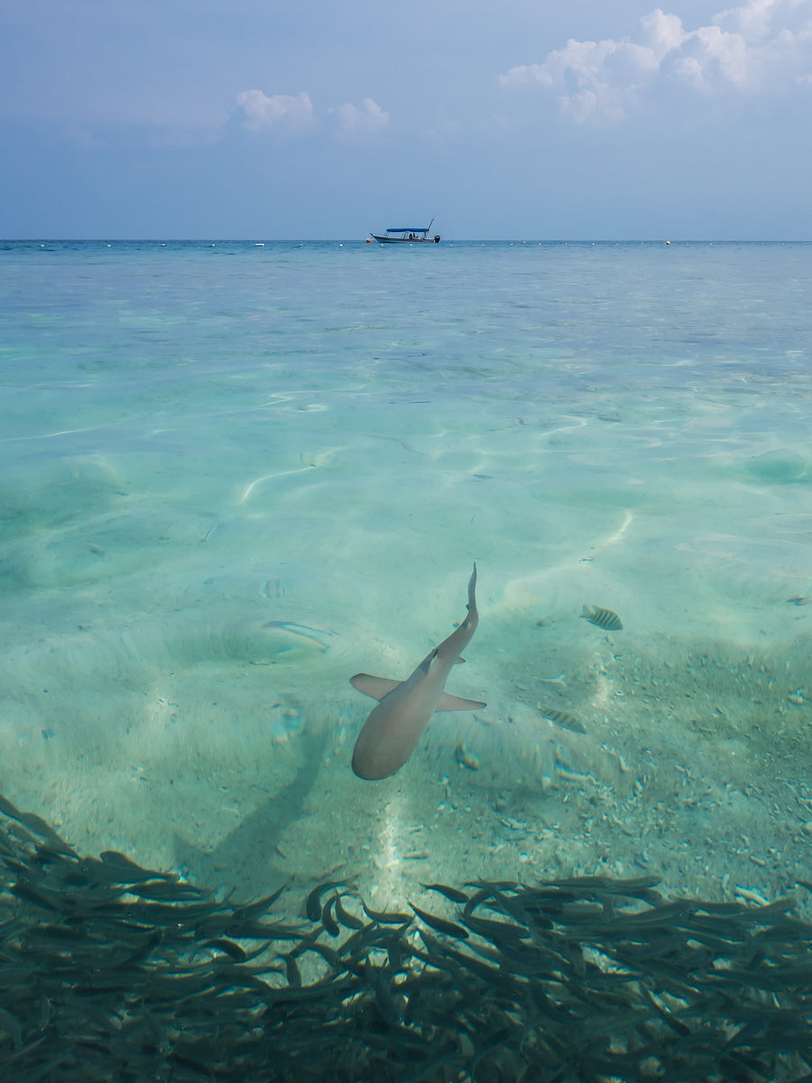 Perhentian Islands