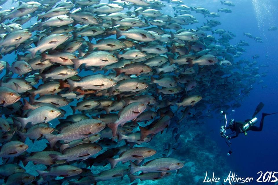 Akomo Isseki — Raja Ampat — 10 Nights