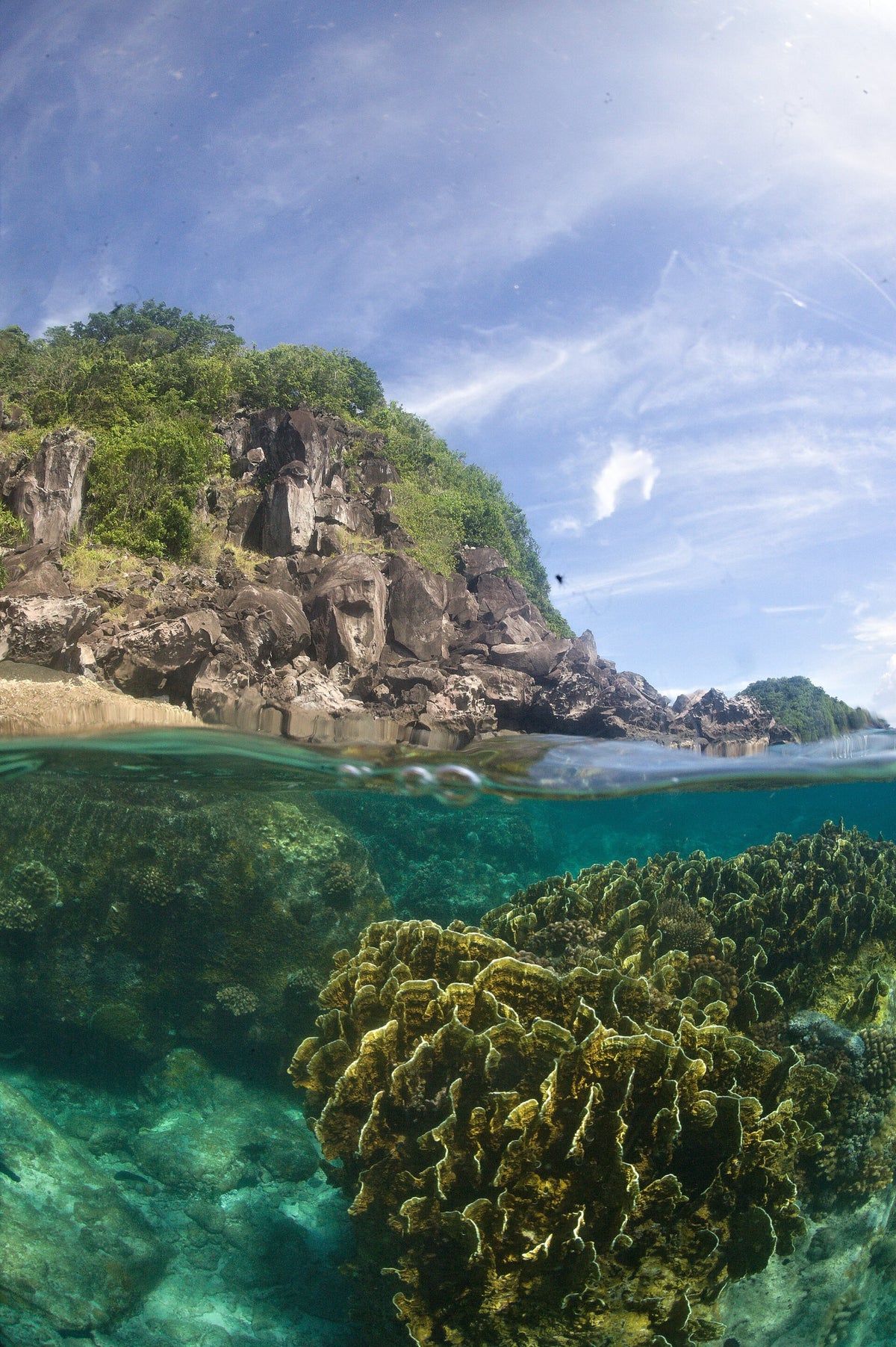 Split view of shallow coral and the rocky coastline at Apo Island