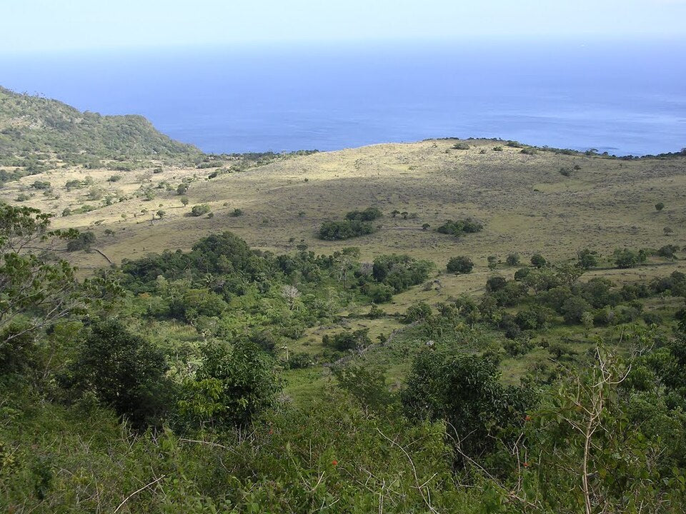 Coastal hills and regenerating vegetation on Atauro Island