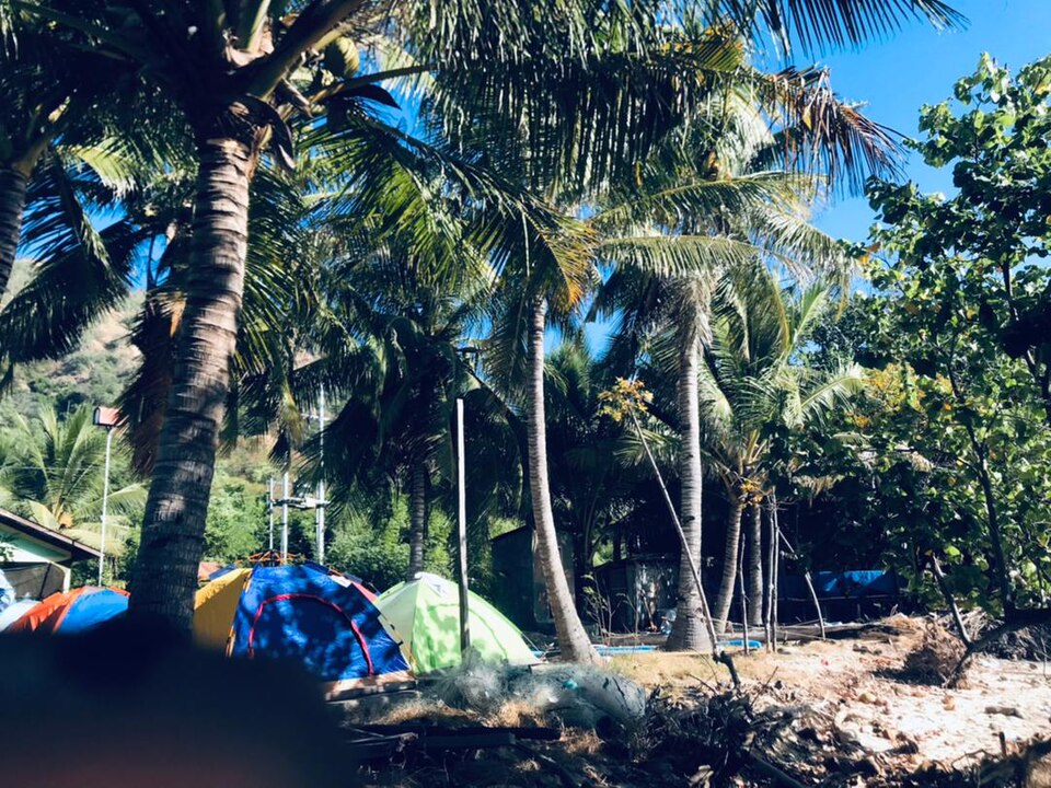 Palm-lined shoreline at Uaro-Ana Beach, Atauro Island