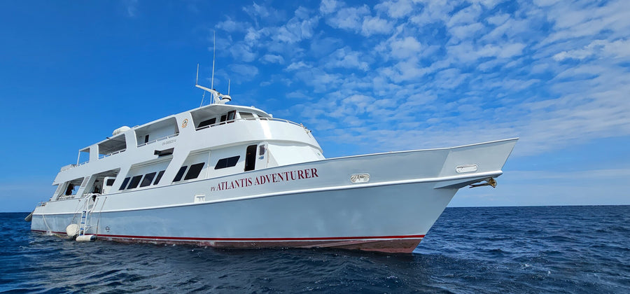 Atlantis Adventurer