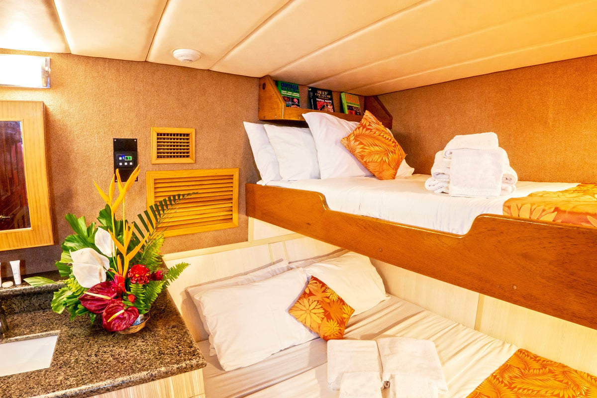 Atlantis Adventurer — Deluxe Stateroom