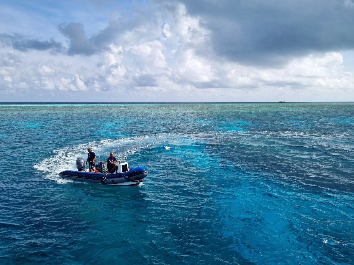 Atlantis Adventurer — Tubbataha Reefs