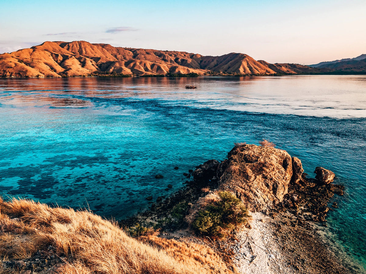 Bajak — Komodo Highlights