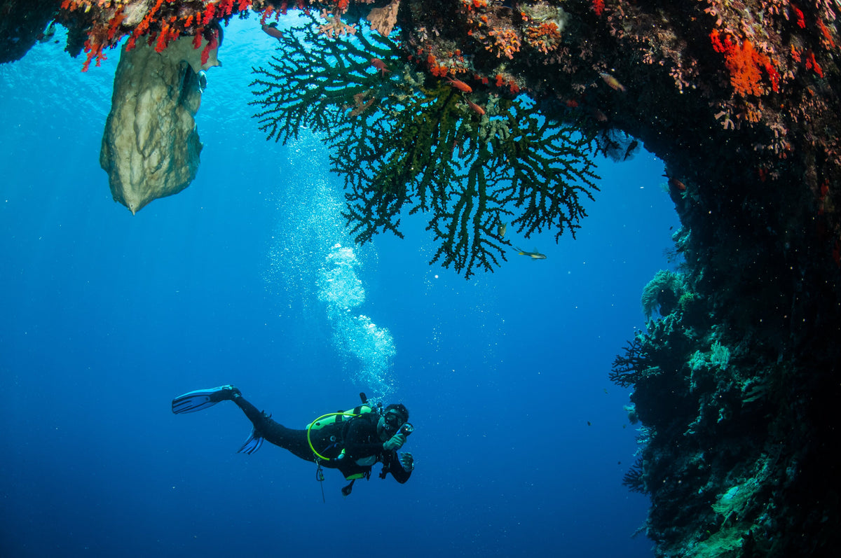 Scuba diver beneath a coral-covered reef wall in the Banda Islands, Indonesia