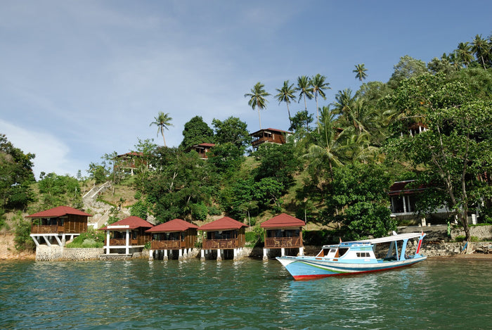 Bastianos Froggies Lembeh Dive Resort