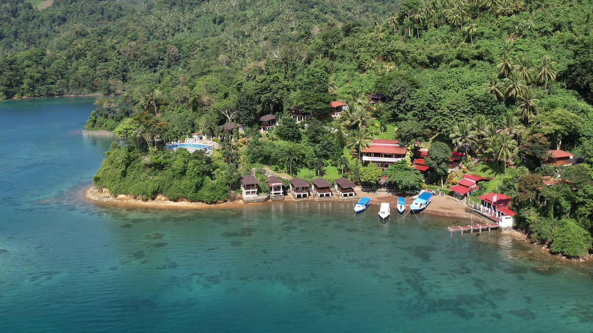 Bastianos Froggies Lembeh Dive Resort