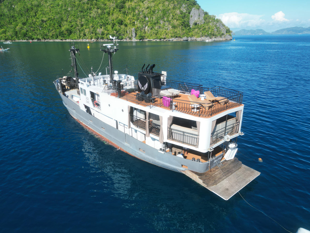 Black Noddy — Tubbataha Reefs — 6 Nights