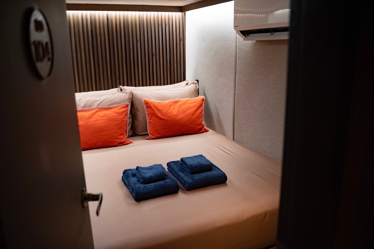Black Noddy — Voyager Queen Cabin