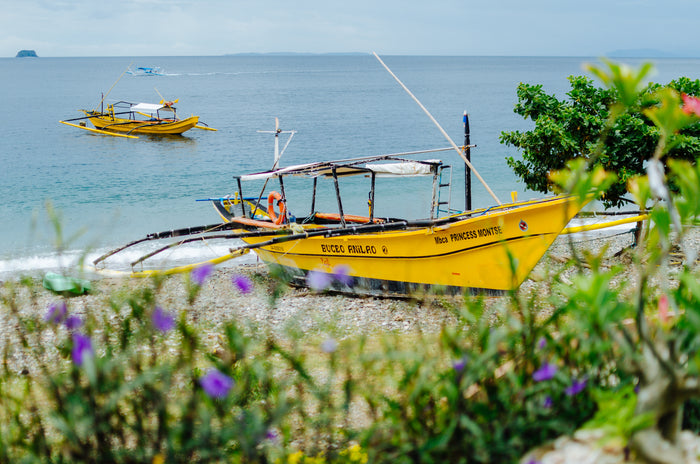 Buceo Anilao Beach & Dive Resort