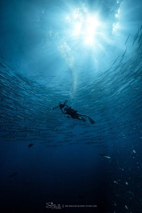 Cachalo — Banda Sea — Ambon to Ambon 