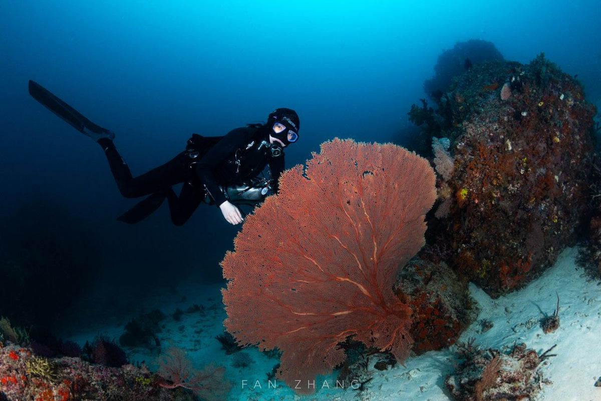Cachalo — Ambon to Raja Ampat — Ambon to Sorong — 7 Nights