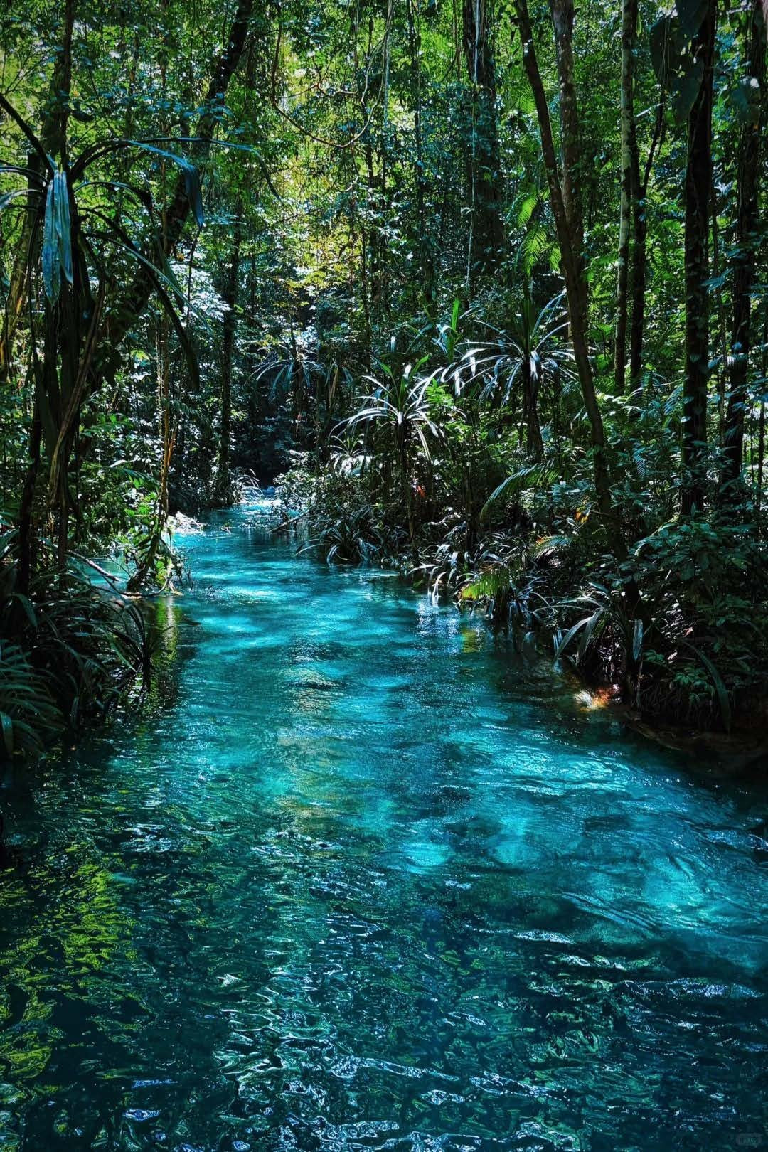 Cachalo — Alor to Ambon — 8 Nights