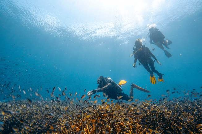 Calico Jack — Banda Neira & Misool — Sorong to Ambon — 11 Nights