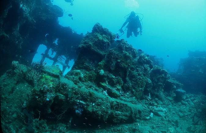 Calico Jack — Cenderawasih Bay — Manokwari to Nabire — 11 Nights