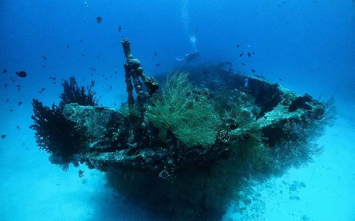 Calico Jack — Cenderawasih Bay — Manokwari to Nabire — 11 Nights