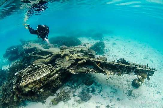Calico Jack — Cenderawasih Bay — Manokwari to Nabire — 11 Nights