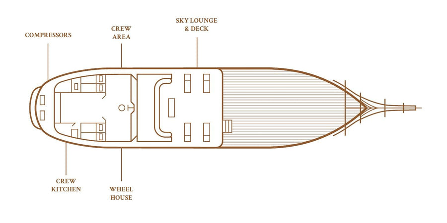 Calico Jack