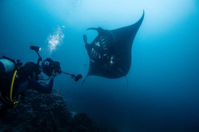 Calico Jack — Raja Ampat Full Park & Misool — 11 Nights