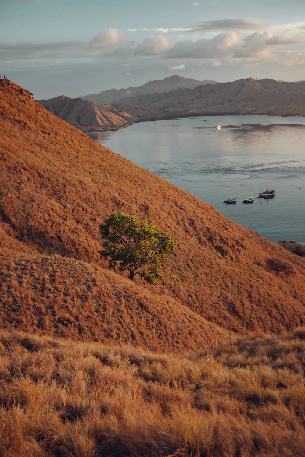 Capoeng — Komodo Highlights