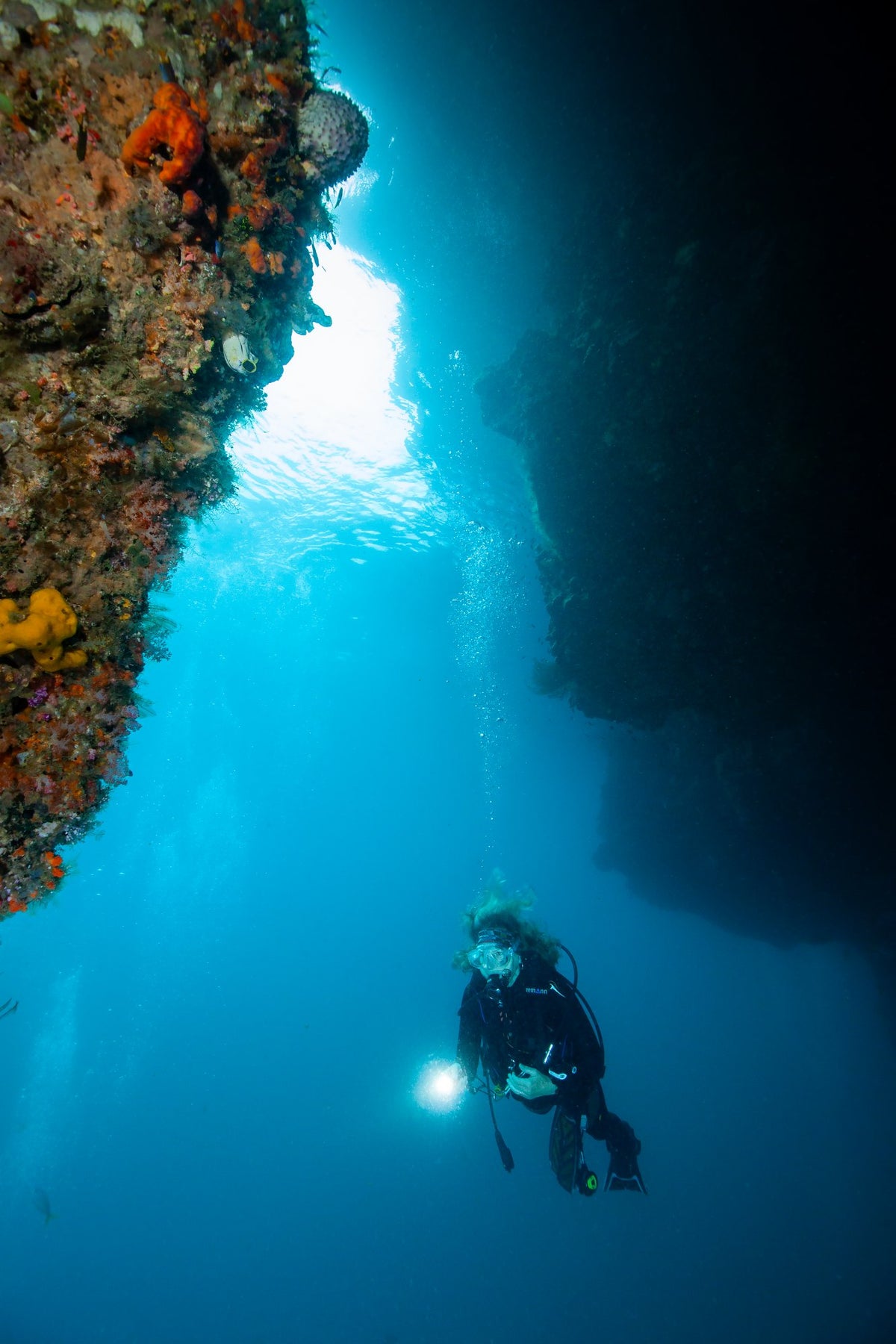 Dancing Wind — 8D7N Central Raja Ampat — Sorong to Sorong — 7 Nights