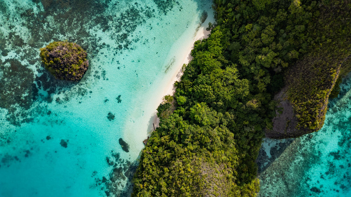 Dancing Wind — 8D7N Central Raja Ampat — Sorong to Sorong — 7 Nights